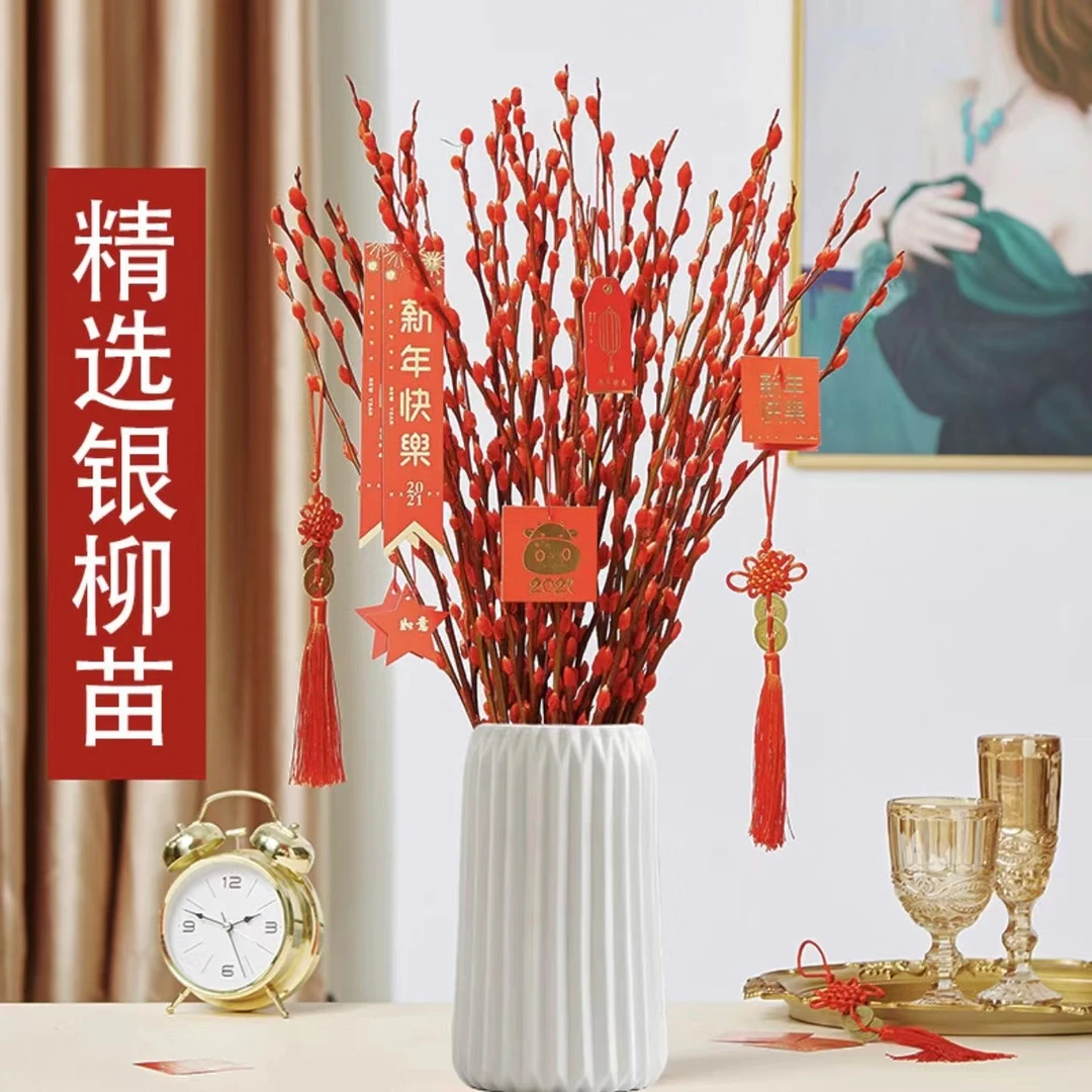 银柳鲜枝真花年宵花干花红色彩色银柳耐寒水培花卉绿植室内喜庆7