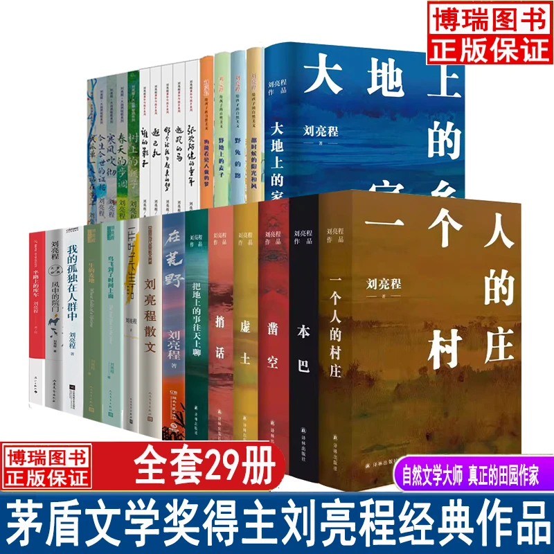 刘亮程作品 茅盾文学奖得主 在荒野+一个人的村庄+凿空+本巴+虚土