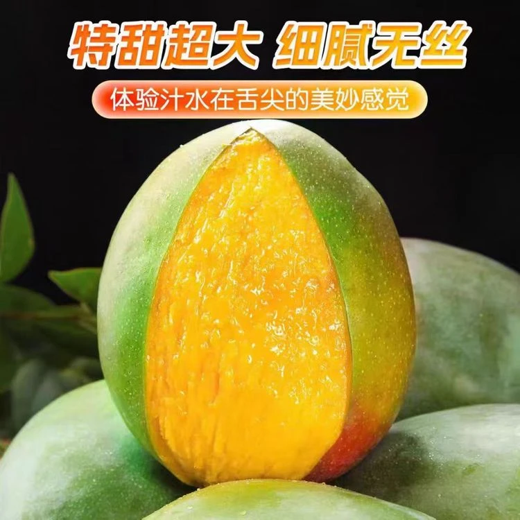 凯特芒(3斤~3.5斤)