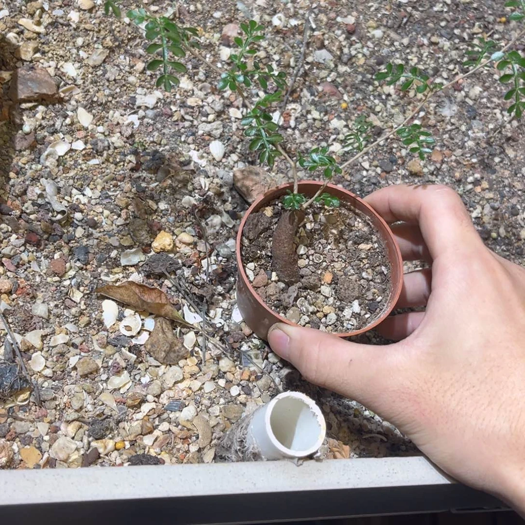 广****王哈哈哈哈哈哈哈