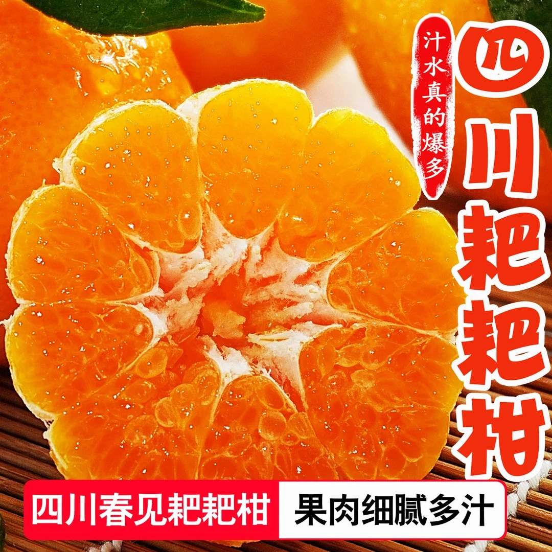 四川春见耙耙柑现摘现发丑橘子新鲜粑粑柑正宗水果香甜爆汁特大