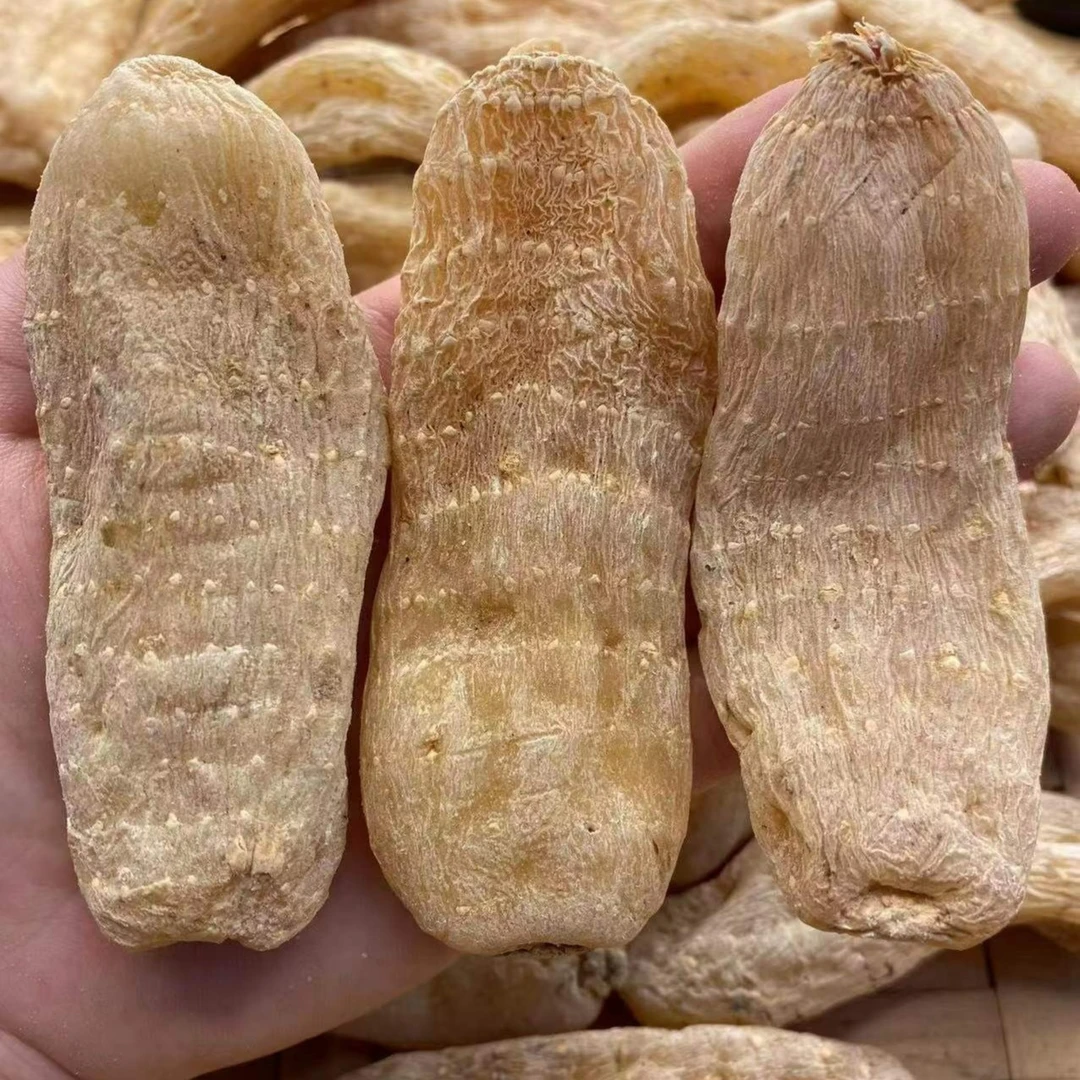 云南天麻干货精选可炖汤食用源头产地品质好无熏硫桃胶250g