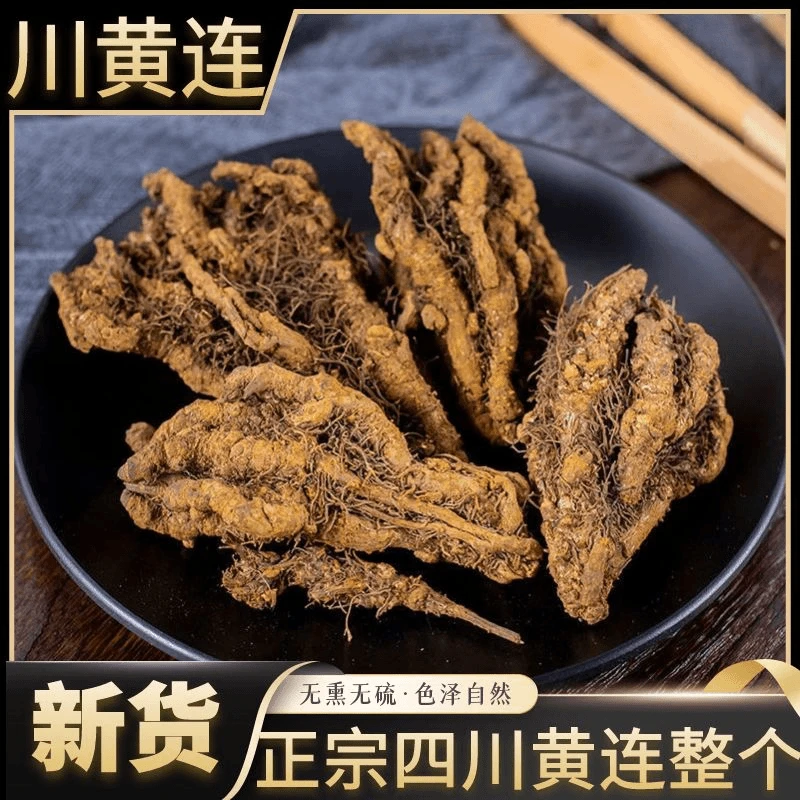 黄连 单支鸡爪黄连正宗无熏硫四川原产苦黄连泡水煮水滋补甘山药