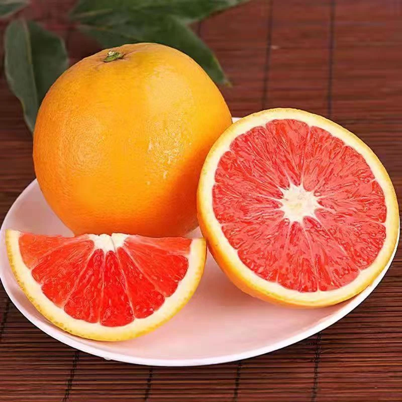 秭归中华红橙脐橙当季现摘5斤9斤新鲜水果青花素血橙整箱手剥鲜橙