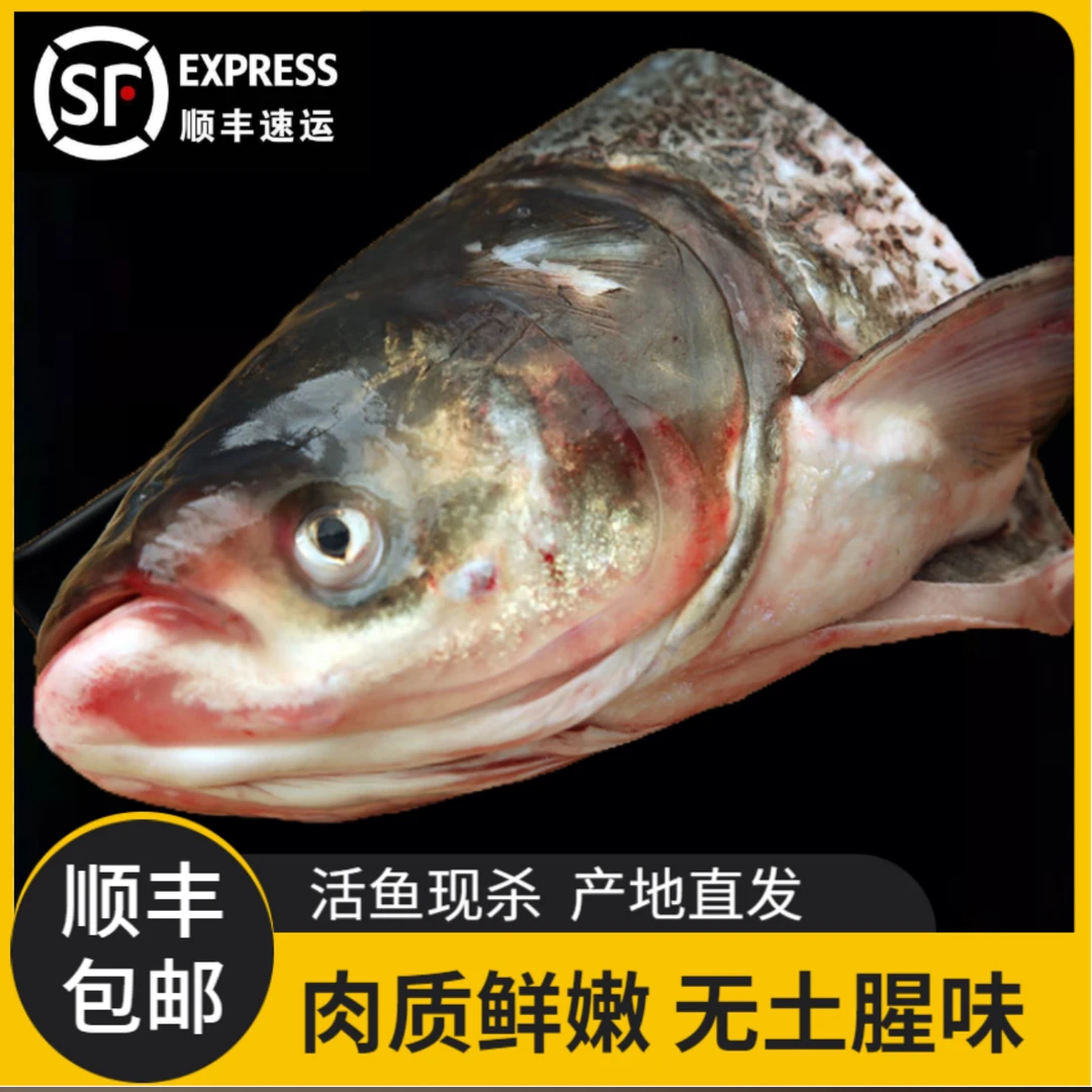 【顺丰包邮】东北野生胖头花鲢鱼头10斤-11斤