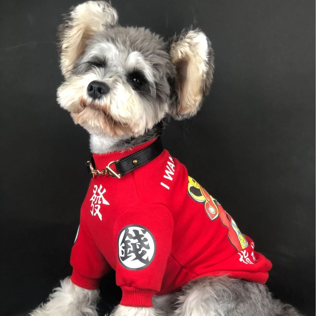 狗狗衣服新年装泰迪雪纳瑞博美柯基贵宾猫咪发财喜庆红色加绒卫衣