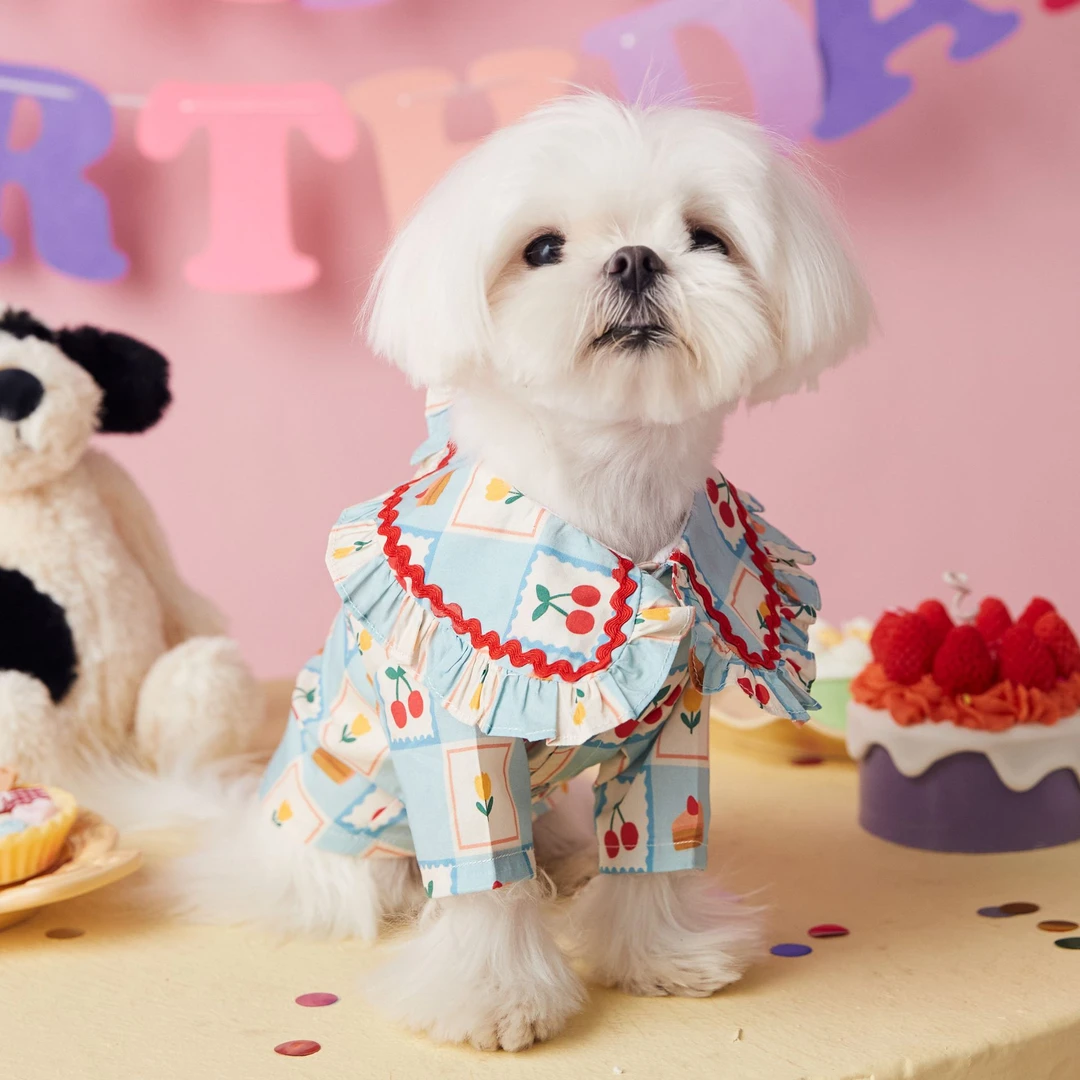 马尔济斯夏装衣服薄款约克夏小狗狗雪纳瑞泰迪比熊大领子花衬衫