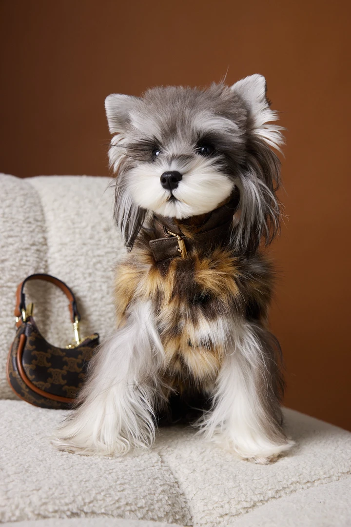 汤尼熊 豹纹长毛 外套 马甲