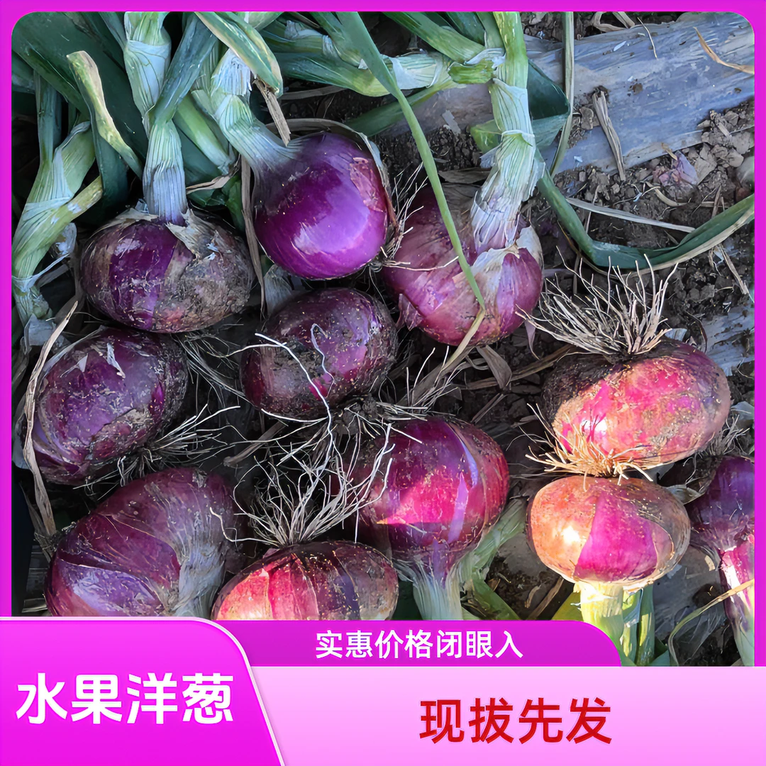 新鲜农家紫皮洋葱