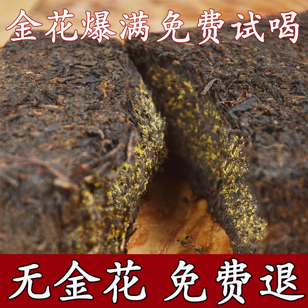 老料天茯100克品鉴装/正宗湖南安化黑茶金花茯砖茶老黑茶