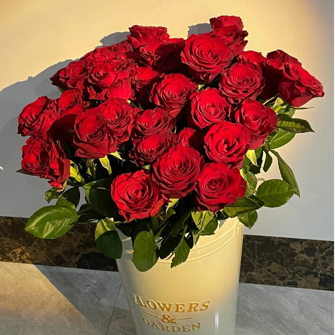 【高原红玫瑰】一单普运  同一地址任意2单升级空运