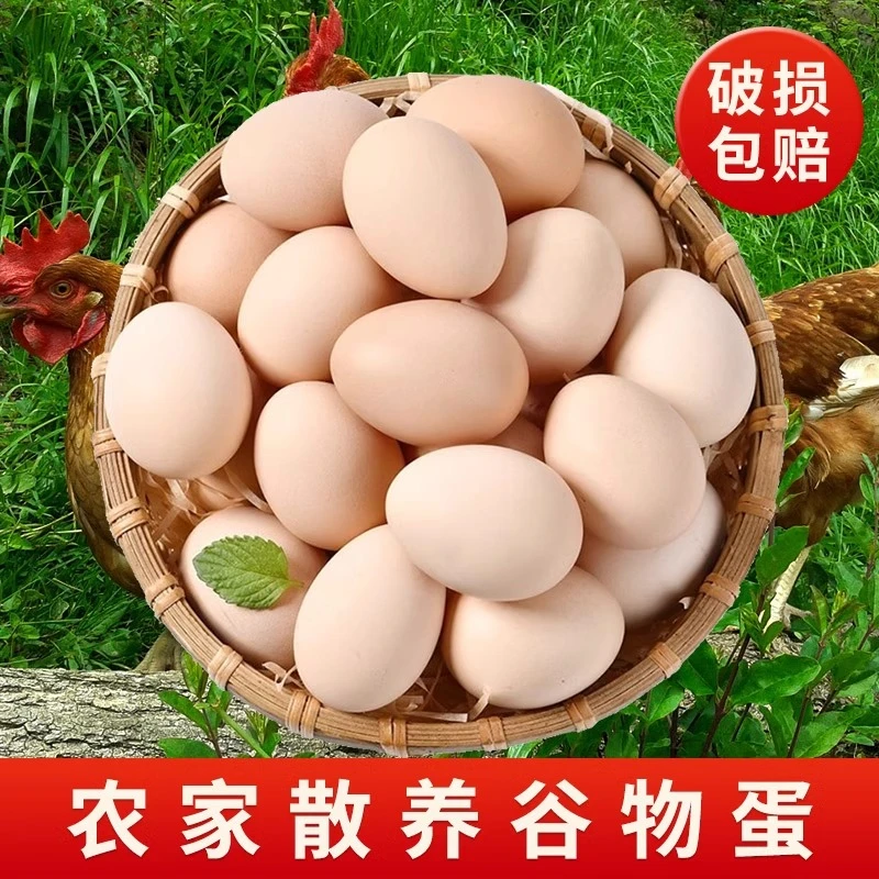 【4斤竹林散养草鸡蛋】正宗土鸡蛋农家笨鸡蛋新鲜草鸡蛋跑山土鸡蛋