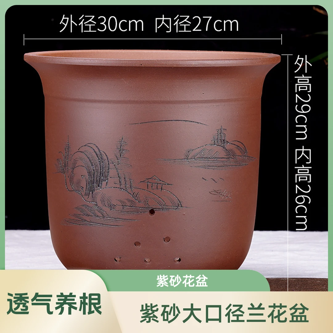 紫砂君子兰专用特大号紫砂花盆紫砂兰花花盆种花盆景专用特大花盆