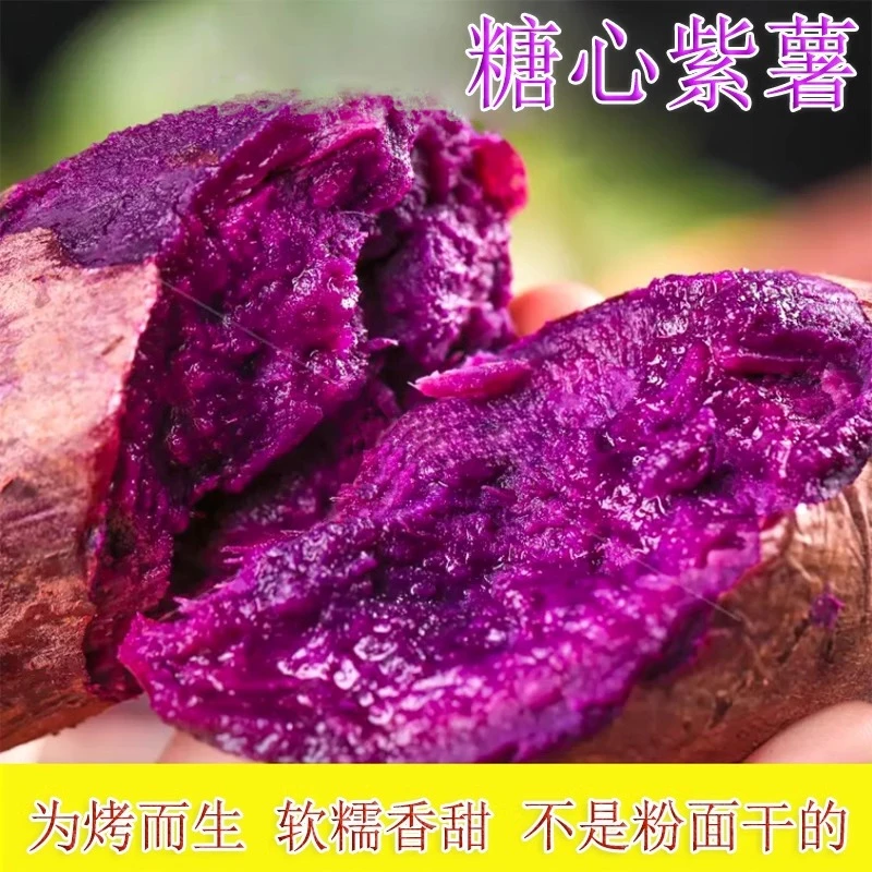 正宗紫薯新鲜现挖紫薯番薯粉糯香甜板栗红薯地瓜蜜薯蔬菜批发