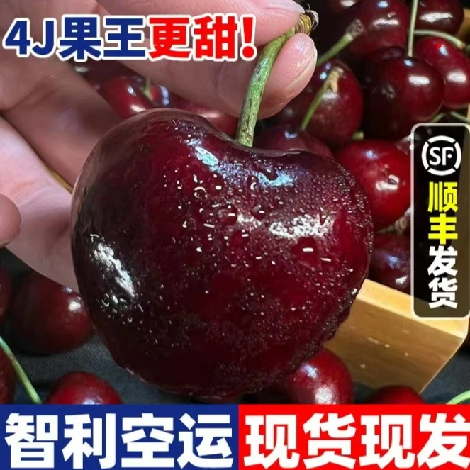 【顺丰空运】TY1-2-5斤智利进口车厘子J-4J新鲜水果大樱桃当季整箱