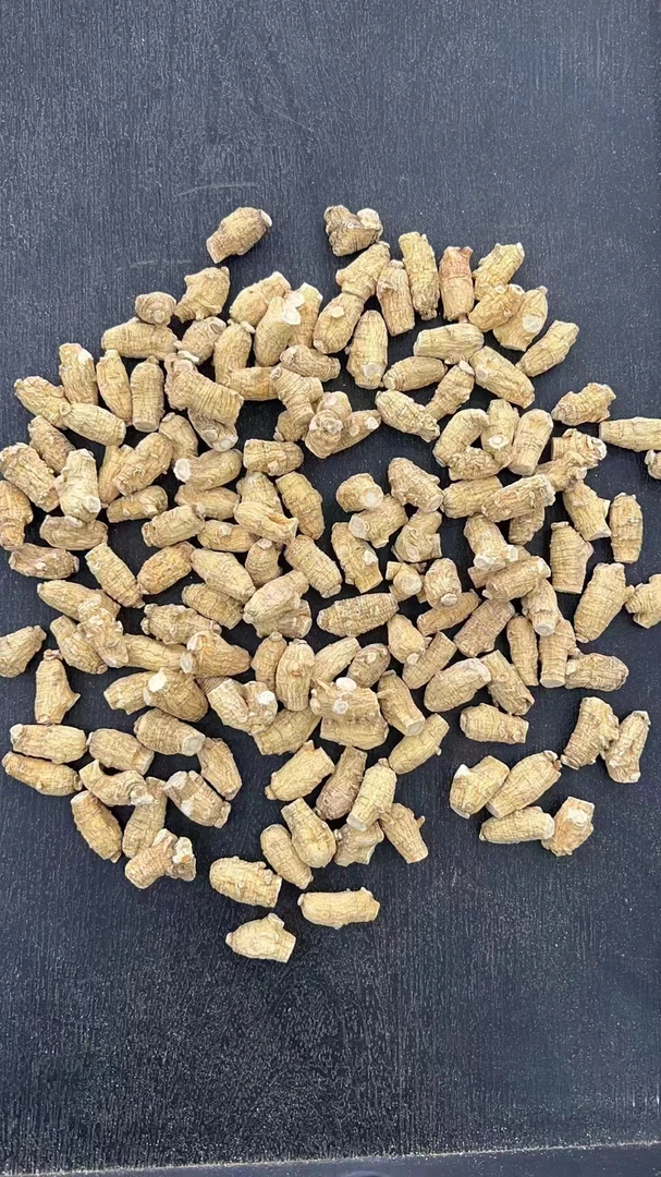 西洋参粒食用农产品
