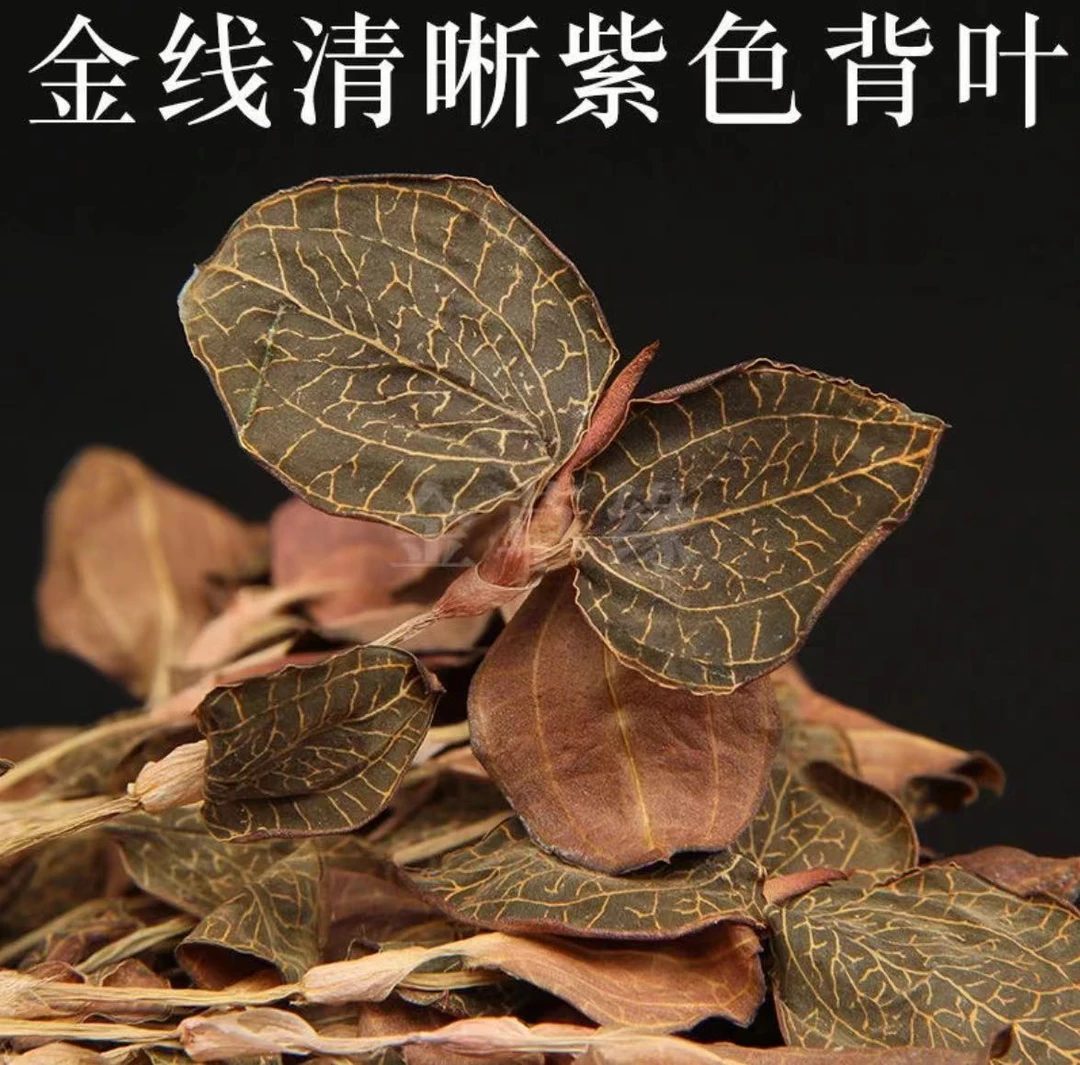福建特产金线莲足干盒装礼袋30克装食用煲汤
