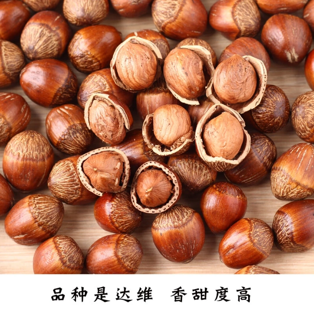 东北特产大榛子送夹子
