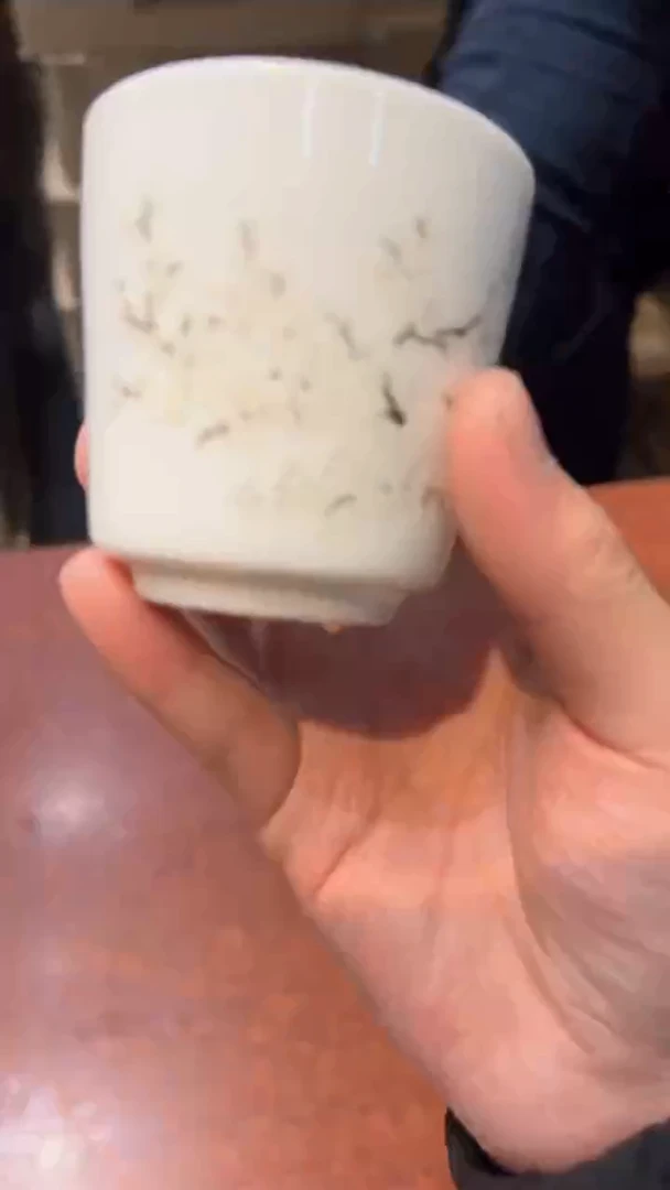 【闪购商品】其他茶具套装或单品@@