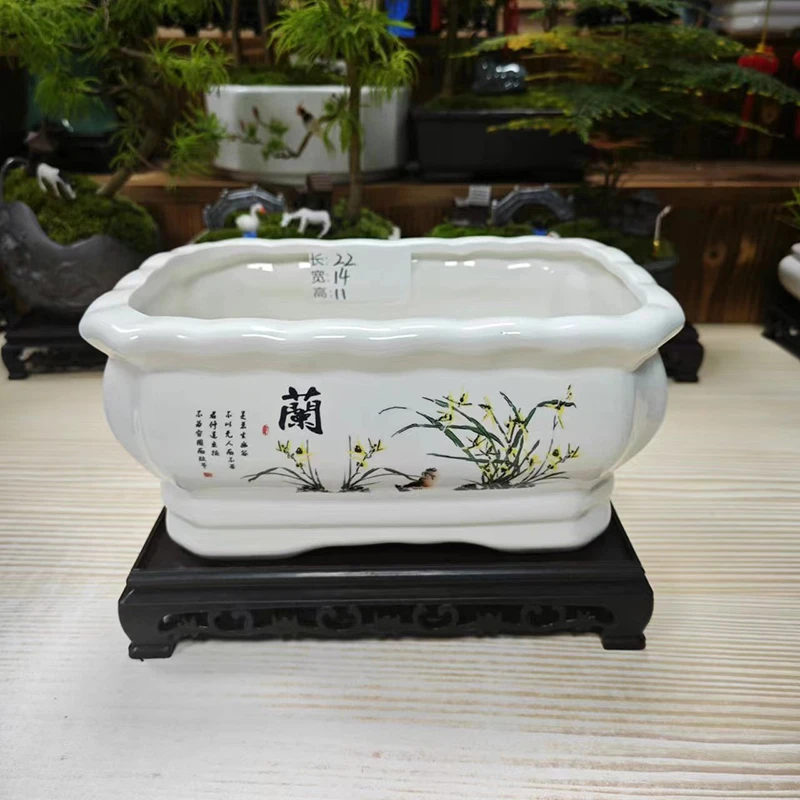 【直播浮力013】陶瓷花盆 长22厘米 宽14厘米 高11厘米