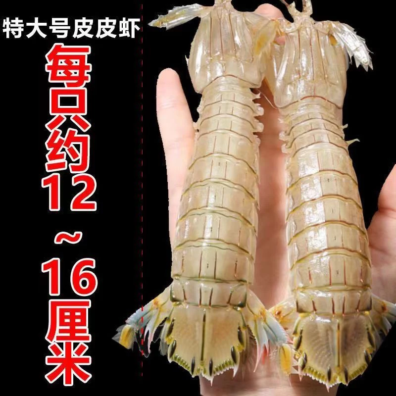 野生特大公皮皮虾2斤 顺丰发货