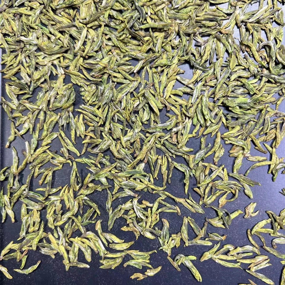 2025年新茶松阳高山手工乌牛早（手工茶）125g/250g/500g