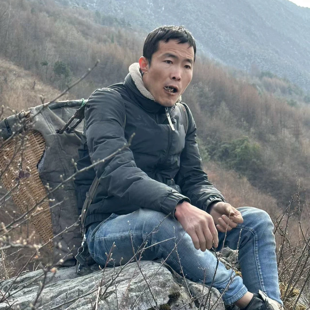 野生白豆子旱豆子 无硫旱地豆子三片叶子的地下根块夏天只有一半