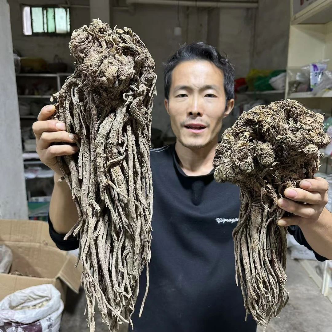 羌活  黑药 甘肃种植羌活 无硫羌活 整根的未切片150g 当