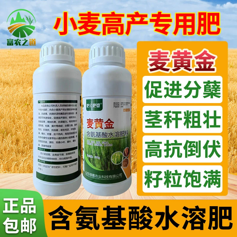麦黄金小麦专用控旺促分蘖抗倒伏抗病增产氨基酸水溶肥农药叶面肥