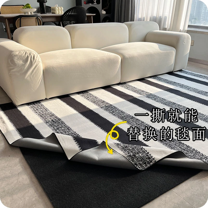 可拆洗客厅地毯双层圈绒机洗免打理床边毯轻奢高级感2024新款地垫