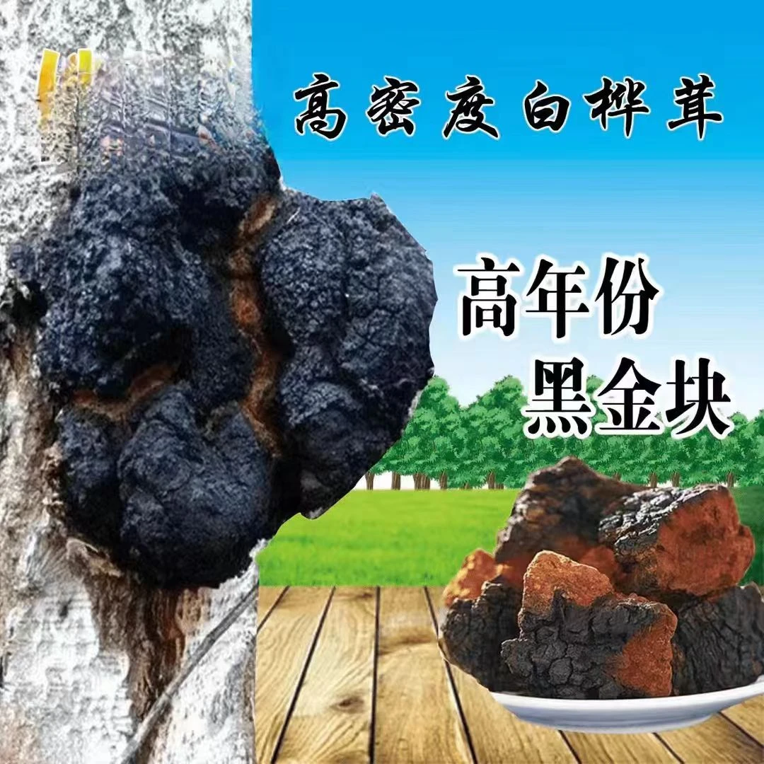 【高密度 黑金块】中俄边境 桦树茸黑金块  泡水煮水  250g