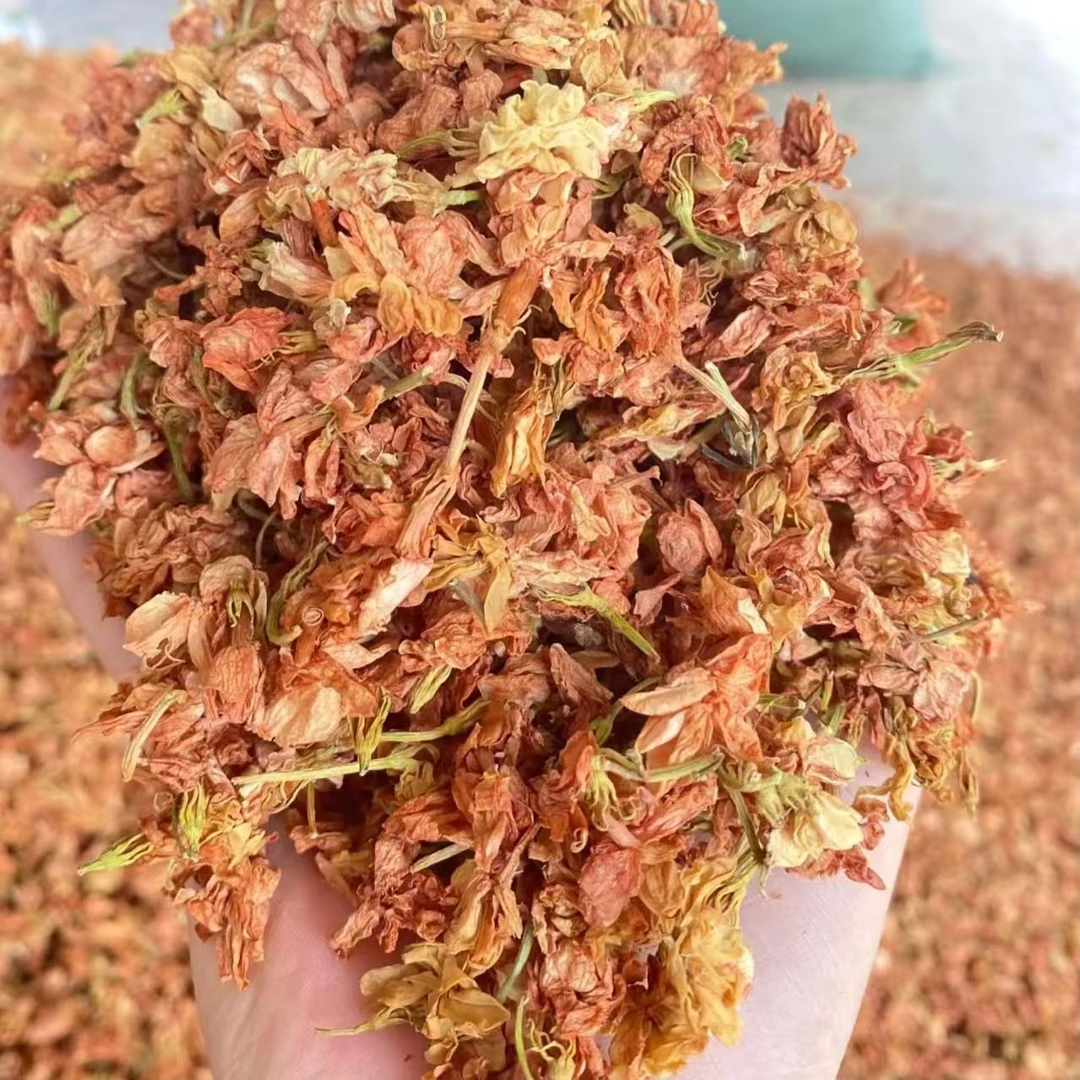 高山 农家 红茉丽花