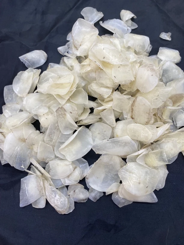 广东鱼鳞片250g鱼鳞片