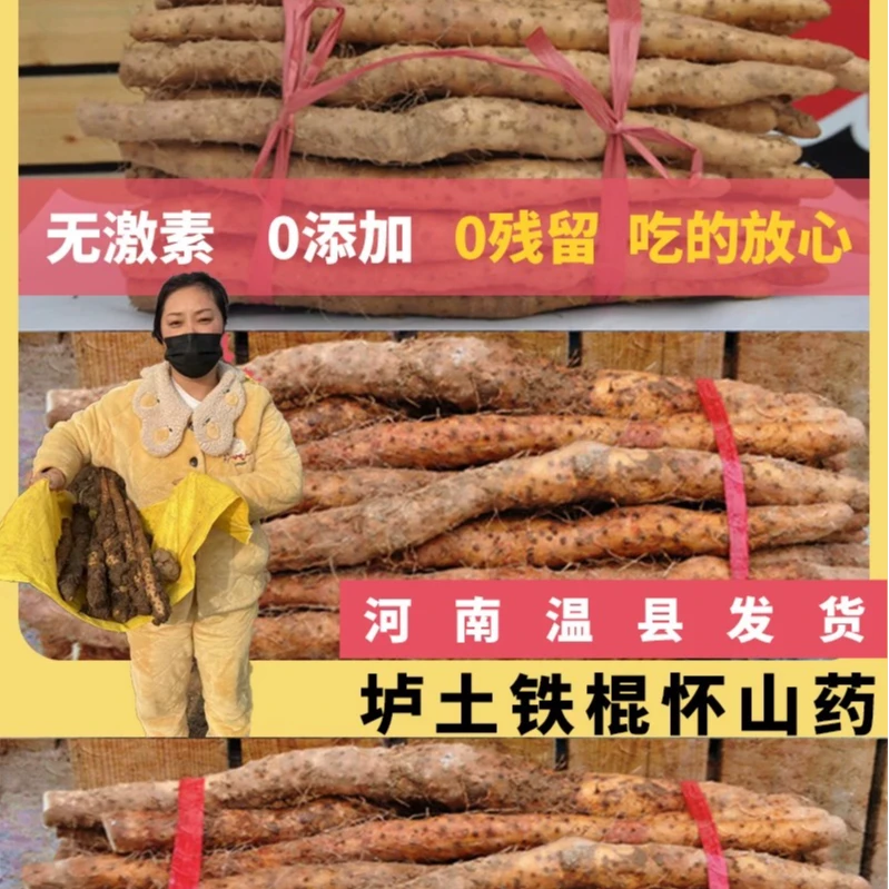 正宗温县铁棍山药垆土地怀山药