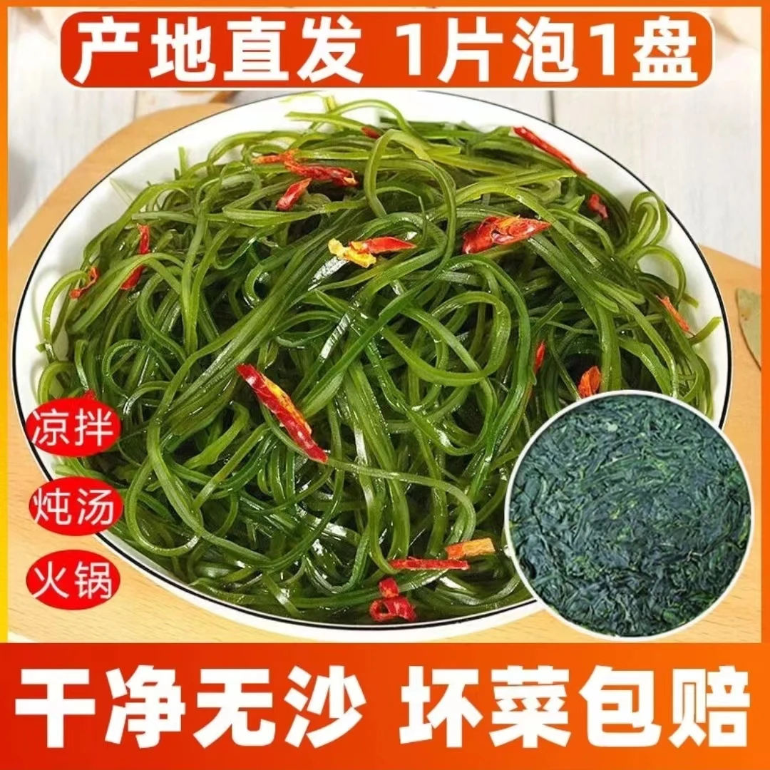 霞浦压缩海带丝小包装16g/片新鲜儿童裙带菜海产品免煮免洗商用饼