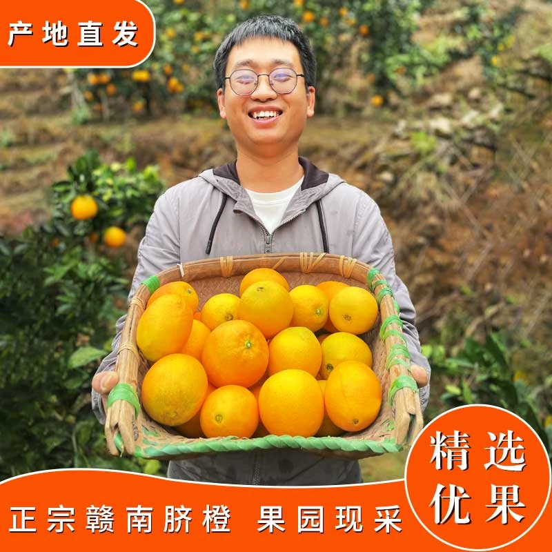 江西正宗好吃赣南脐橙现摘现发产地直发手剥甜橙10斤20斤礼盒装