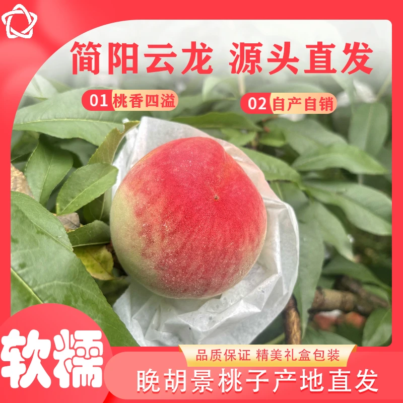 自家果园正宗龙泉水蜜桃（晚湖景） 硬吃脆甜 软吃爆汁  果香四溢