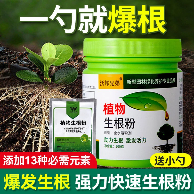 生根粉快速发根通用扦插发新根发根壮苗植物树木多肉蔬菜肥料
