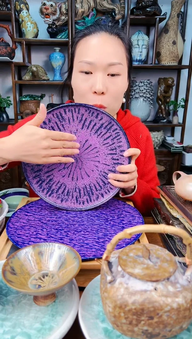 【闪购商品】陶瓷瓷片1