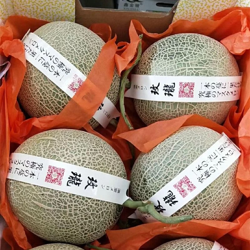 山东玫珑网纹蜜瓜新鲜采摘应季水果正宗冰淇淋甜瓜哈密瓜2/9斤包