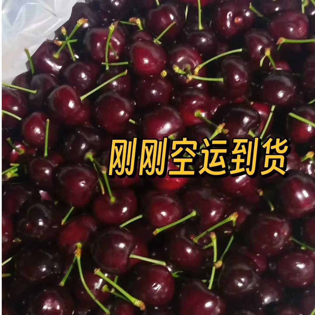 澳洲车厘子500克88元