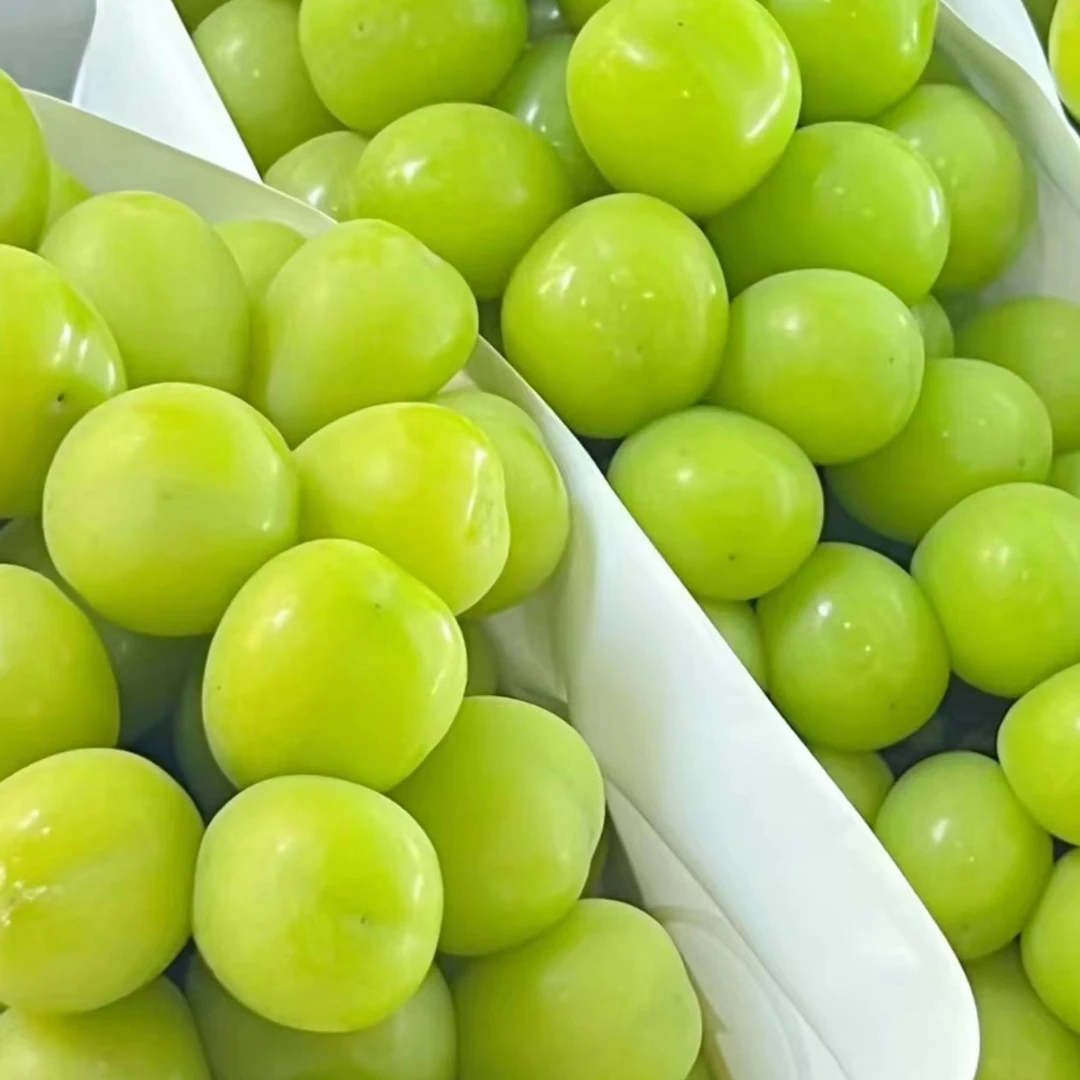 阳光玫瑰葡萄一串大约700克 48元