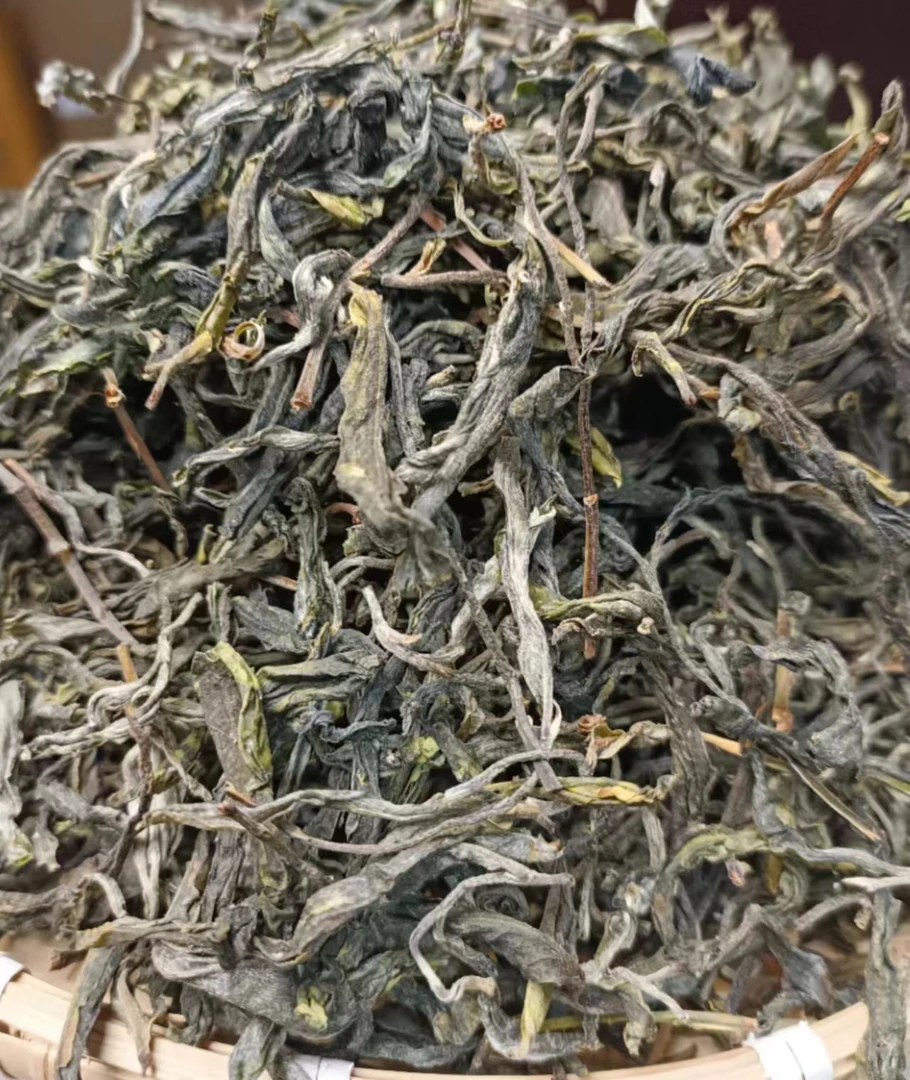2024年 昔归忙麓山 100年中树 头春头采 普洱茶（散茶）