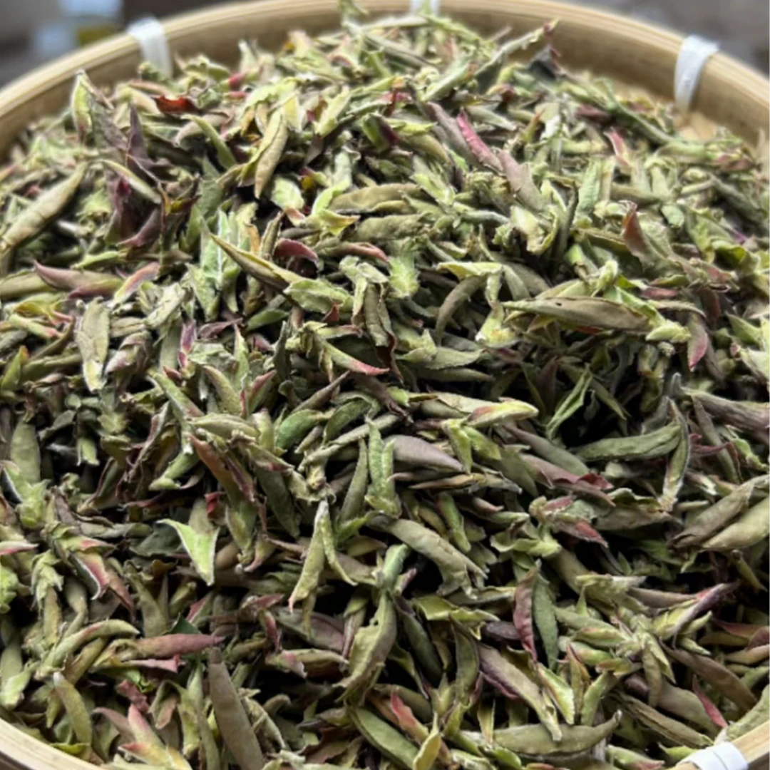 大雪山紫芽 芽苞 2024年 春（散茶）