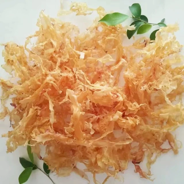 野生佛祖菜面菜汕尾本港海底燕窝胶菜海赤菜膏菜开水冲泡食用