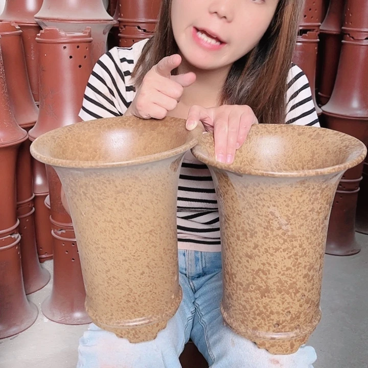 紫砂20CM（含）-50CM（不含）梦****零