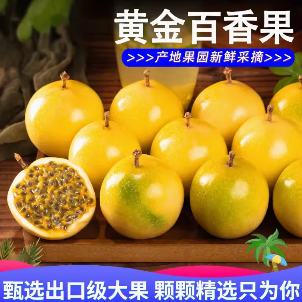 【香甜多汁】福建钦蜜9号黄金百香果大果纯甜无酸当季新鲜水果1-5斤