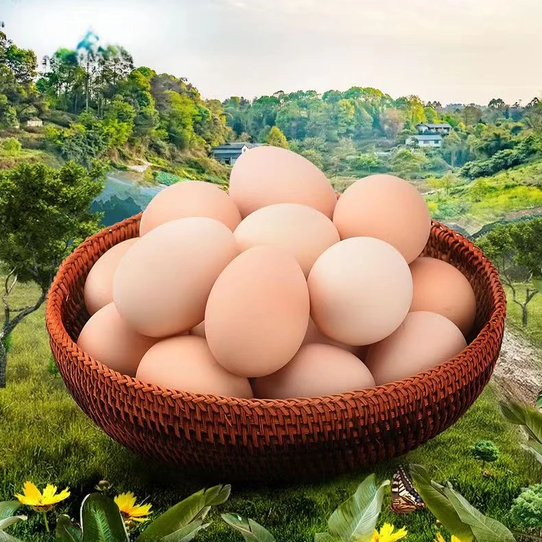 特价高品质鲜鸡蛋