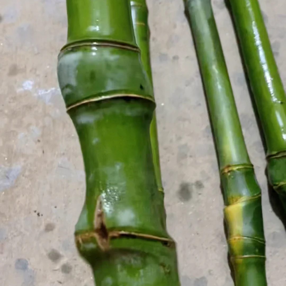 毛料专拍链接 文玩手把件