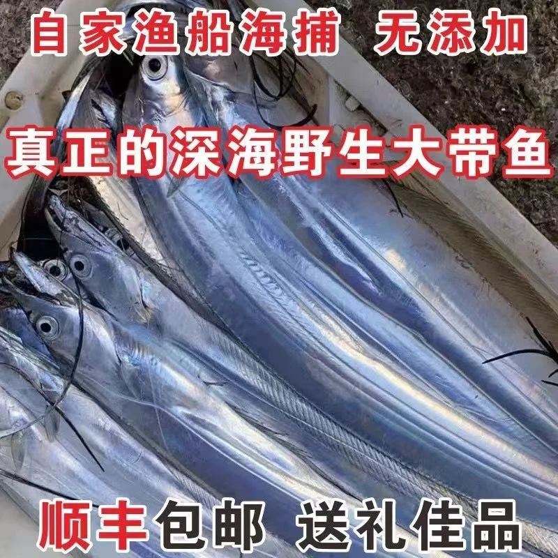 【整条带鱼】新鲜速度带鱼整条 约3条/斤   5斤